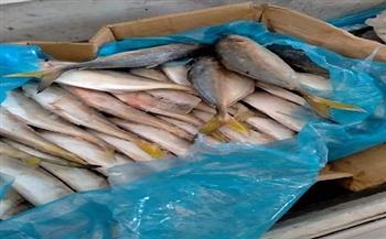 حملات مكثفة على محال بيع الأسماك والفسيخ في شم النسيم بالبحر الأحمر