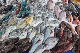 استقرار أسعار الأسماك اليوم 31-5-2021