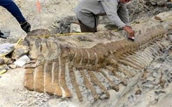 اكتشاف حفرية ديناصور عمرها 200 مليون سنة جنوب غربي الصين