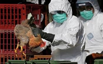 الصين تسجل أول إصابة بشرية في العالم بأنفلونزا الطيور (H10N3)