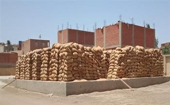 محافظ بنى سويف: توريد 113% من مستهدف محصول القمح حتى الآن