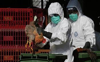 الصين تسجل أول حالة إصابة بسلالة جديدة لأنفلونزا الطيور.. تعرف على أعراضها