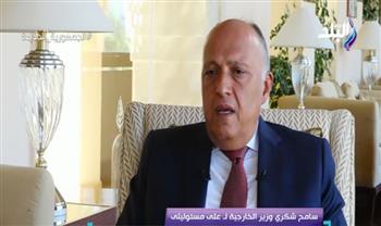 وزير الخارجية يوضح إنجازات الدبلوماسية المصرية خلال 7 سنوات