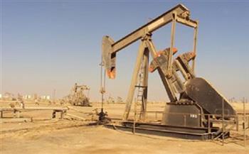 العراق تتوقع 75 دولارا لبرميل النفط في نصف العام