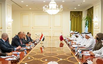 بدء مباحثات رسمية مصرية - قطرية على مستوى وزيري الخارجية بالدوحة