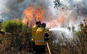 ​رجال الاطفاء الروس يواصلون إخماد حرائق الغابات في سيبريا والشرق الاقصى