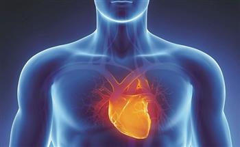 بعد انتشار الموت المفاجئ.. ما هي أسباب السكتة القلبية وكيفية التغلب عليها؟