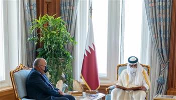 الرئيس السيسي يدعو أمير قطر لزيارة مصر