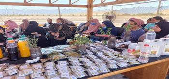 انطلاق الدورة الرابعة لتنمية المرأة البدوية المعيلة في جنوب سيناء
