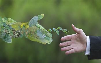 «خبير»: الالتزام بالمعايير البيئية يحقق التنمية الاقتصادية الشاملة