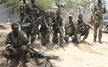 الجيش الصومالي: مقتل قيادي بارز و30 عنصرا من حركة الشباب الإرهابية