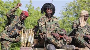 أفريقيا الوسطى "تدين بشدّة" مقتل عسكريين تشاديين على يد قواتها