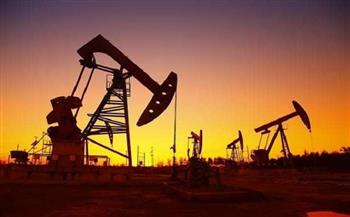 واشنطن تعلّق عمليات التنقيب عن النفط في محمية طبيعية بآلاسكا