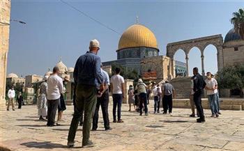 عشرات المستوطنين يقتحمون المسجد الأقصى.. وإسرائيل تعتقل 11 من عرب الداخل