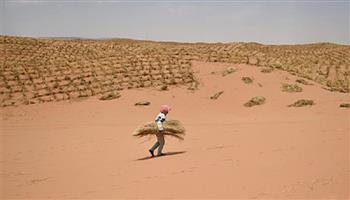 الصين تطور "نسخة جديدة" من حواجز الرمال المصنوعة من القش لمكافحة التصحر