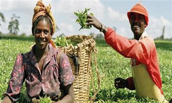 الوكالة الأمريكية للتنمية الدولية تدعم قطاع الزراعة النيجيري بـ500 ألف دولار أمريكي