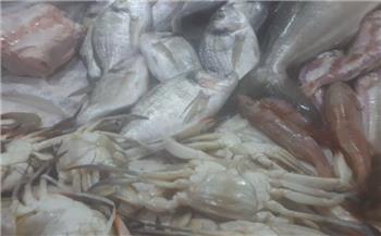 ضبط أسماك ولحوم غير صالحة للاستهلاك الآدمي في الإسكندرية