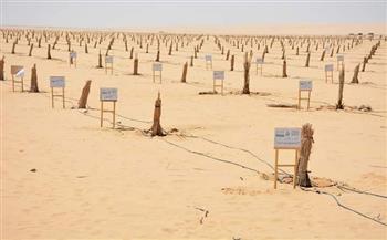 الزملوط يتفقد مشروع وقف خيري لزراعة النخيل بالفرافرة على مساحة ألف فدان