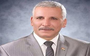 «القوى العاملة بالبرلمان»: العامل المصري حصل على حقوقه بعد 30 يونيو