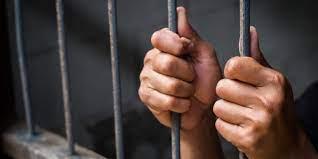 السجن المشدد  ٦ سنوات لـ«تربي» متهم بالاتجار بالمخدرات في الجمالية