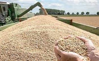 تموين المنيا: توريد 372905 أطنان و 464 كجم من محصول القمح