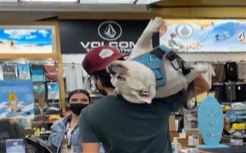موقف طريف لكلب «بول دوج» مع مالكه في متجر أمريكي (فيديو)