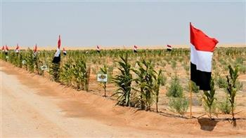 «تنمية سيناء».. أكثر من 600 مليار جنيها لتعمير أرض الفيروز خلال 7 سنوات في عهد السيسي