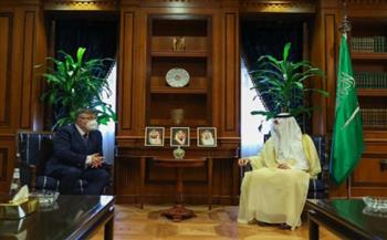 السعودية والتشيك تبحثان المستجدات الإقليمية والدولية