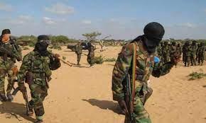 الصومال يعلن مقتل أكثر من 130 مسلحًا