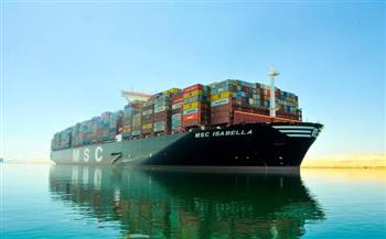 تداول 25 سفينة للحاويات والبضائع العامة بميناء دمياط خلال 24 ساعة