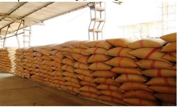 محافظ بني سويف: اقتصار توريد القمح على موقعين فقط وبدء صرف المحلي من 6 شون
