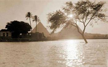 37 فنانا يستلهمون فيضان النيل في معرض صيف «2021» بجاليري «آزاد»