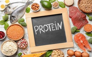 استشاري تغذية توضح الكميات المناسبة لتناول البروتينات