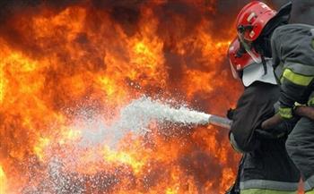 إدارة الإطفاء اليونانية: السيطرة على 58 حريقًا خلال الـ 24 ساعة الماضية