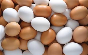 أسعار البيض اليوم للمستهلك 13-7-2021 