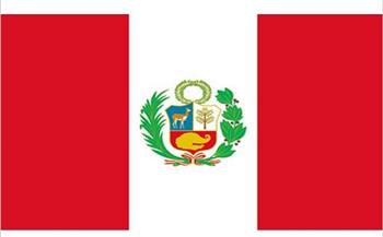 المحكمة الانتخابية تأمل في إعلان الفائز بالرئاسة في بيرو 20 يوليو 