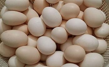 سعر البيض للمستهلك اليوم 15-7-2021