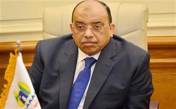 شعراوي: مهتمون بتطوير نظم العمل المحلي والهياكل الإدارية وفقا للتوجيهات الرئاسية