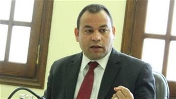 «أبو كب» يضع 4 شروط لحل أزمة الصحافة المصرية (فيديو)
