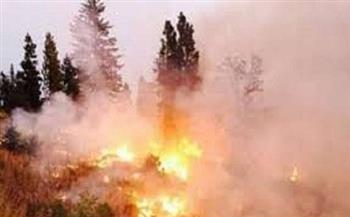 استمرار حرائق الغابات في جزيرة ساموس اليونانية لليوم الثاني على التوالي
