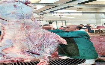 حملات تفتيشية لمراقبة أسعار اللحوم وعدم المغالاة فيها بعيد الأضحى في بني سويف