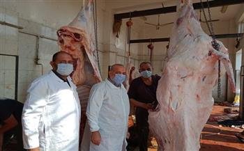 مجازر كفر الشيخ الـ 19 تستقبل 800 رأس ماشية خلال يومين