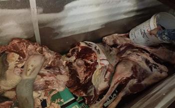 أيمن مختار: إعدام 677 كيلو من المواد الغذائية الفاسدة بالدقهلية