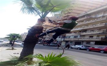 حدائق الإسكندرية مستعدة لاستقبال المواطنين فى عيد الأضحي