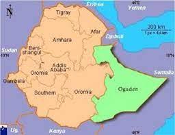 ناشط بالإقليم الصومالي بإثيوبيا: هذا سر تأجيل الإنتخابات ببلادنا 