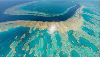 علماء يشيدون بقرار اليونسكو  بإدراج الحاجز المرجاني على قائمة المواقع المهددة