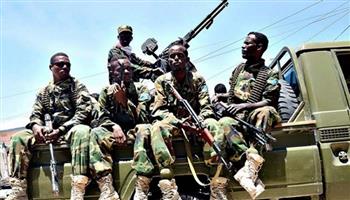 الجيش الصومالي يشن غارة جوية على حركة "الشباب" الإرهابية