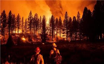 النيران تحيل 20 ألف هكتار من غابات ولاية أوريجون الأمريكية إلى رماد