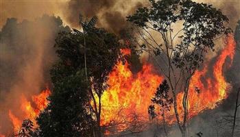الحكومة الكندية تقرر دعم "بريتش كولومبيا" للمساعدة في مواجهة حرائق الغابات