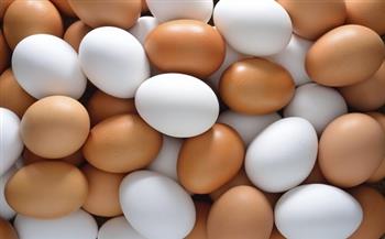 سعر البيض للمستهلك اليوم 22-7-2021